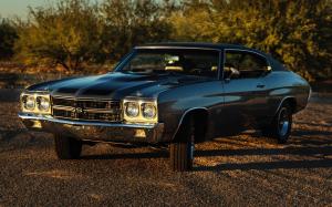 1970 Chevrolet Chevelle Malibu SS 454 Sport Coupe pkg. 1970 года